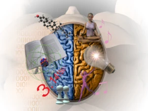 BalancingtheBrain2